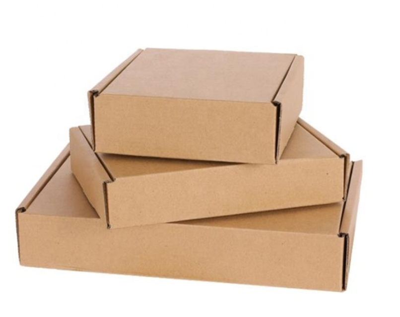 Custom Blank Kraft Cardboard Paper Boxes for Packaging